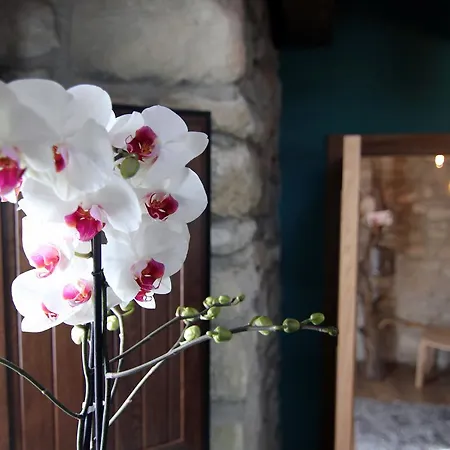 Gaubeako Ekhia Casa vacanze