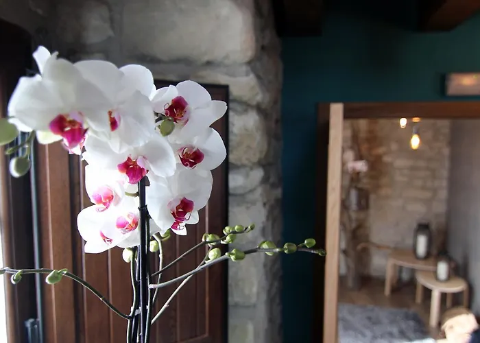 Gaubeako Ekhia Сasa de vacaciones